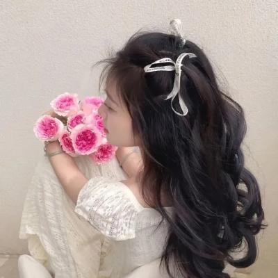 星蝶公主第一季